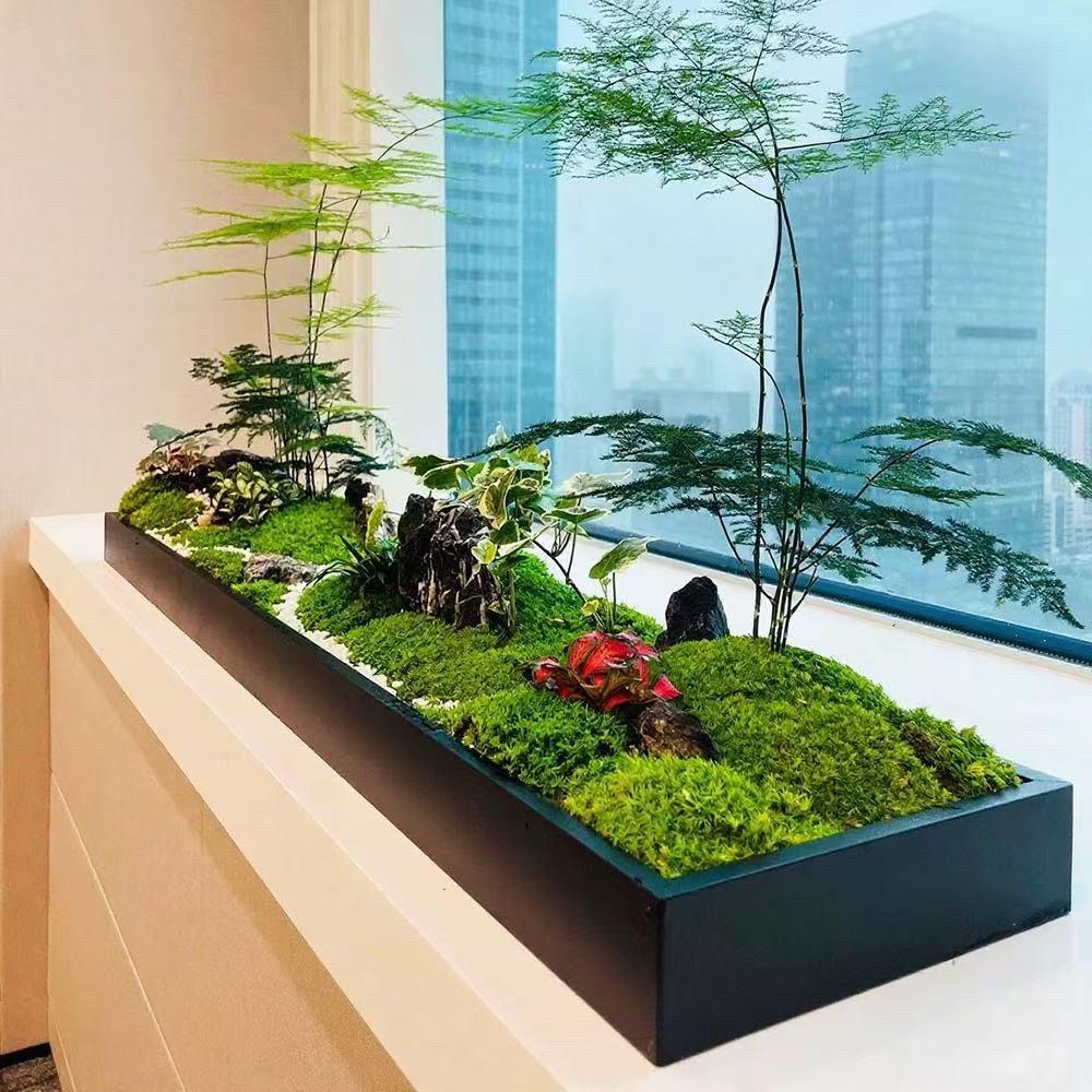 镀锌板微景观花槽托盘桌面造景接水盘长方形多肉花盆铁艺底座定制