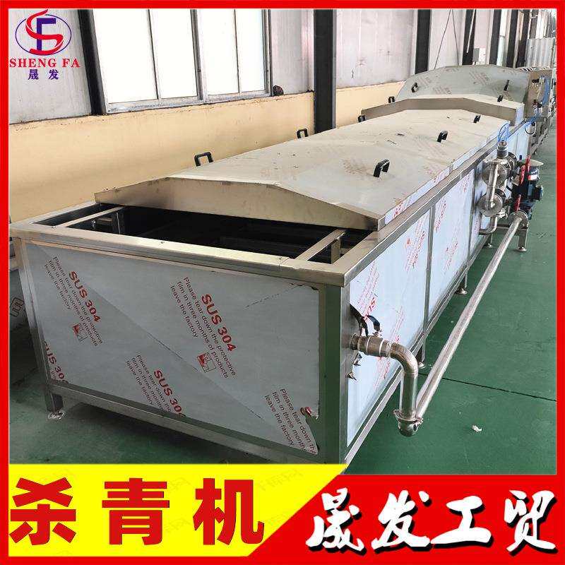 水浴式桑叶杀青漂烫机 红薯叶杀青流水线 豆角自动杀青漂烫流水线