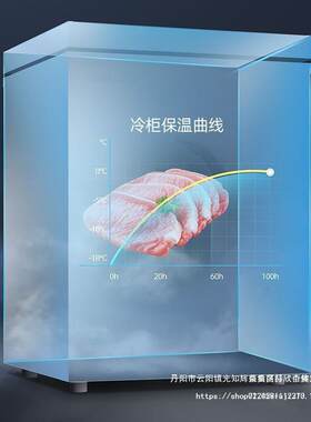速冻小冰柜家用大容量全冷冻小型保鲜双温冷柜两用迷你可家用商用