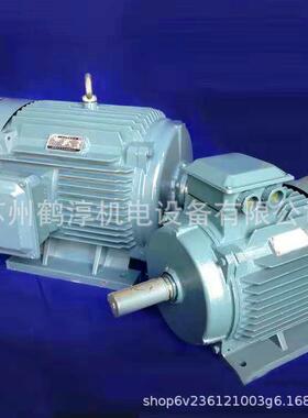 YE2 250M-6 37KW B35三相异步交流电动机YX3 YE3 YEJ2 YVF2电机