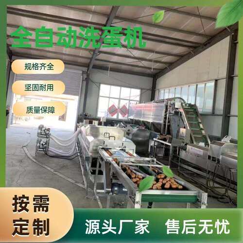 蛋品清机洗松花蛋包275灰蛋蛋品清洗鸡蛋溏心蛋洗产蛋机咸鸭线蛋