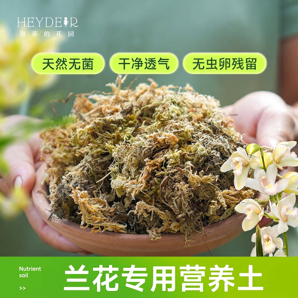 海蒂的花园水苔蝴蝶兰文心兰兰花专用营养土干苔藓透气高温灭菌