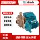 直联离心泵NM32 卧式 16B增压泵 16AE 现货科沛达calpeda水泵NM32