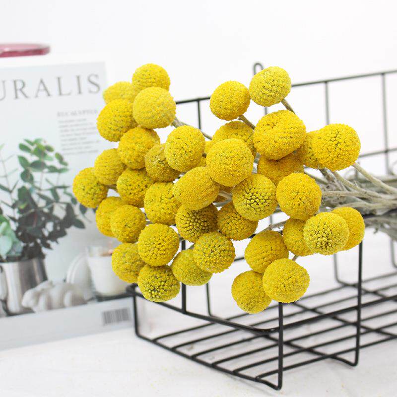 云南黄金球干花花材家居办公软装北欧日系ins风插花花束配花