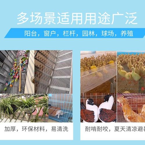 防护网白色塑料养殖宠物养鸡网