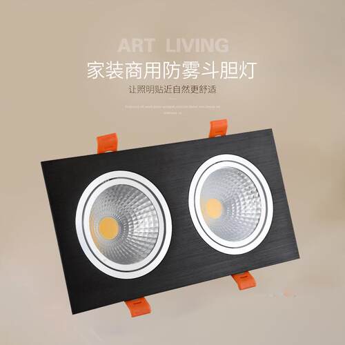cob斗胆双头射灯led嵌入式双孔筒灯服装店铺商用10x20格栅豆胆灯