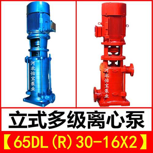 65DL30-16X2立式多级泵DLR型热水增压管道离心泵 高层建筑给水泵
