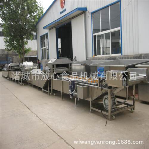 豆角清洗机速冻豆角线豆角杀青漂烫设备食品清洗机自动清洗