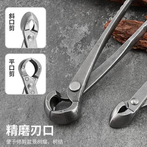盆景工具叶芽球形修剪造型制作节