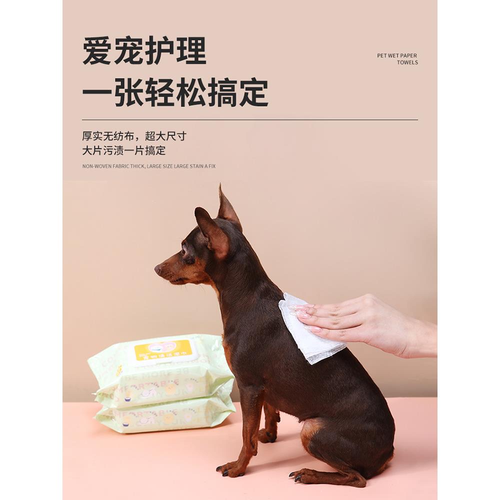 清洁用品护理宠物湿巾猫咪狗狗杀菌除臭专用湿纸巾免洗擦脚去泪痕
