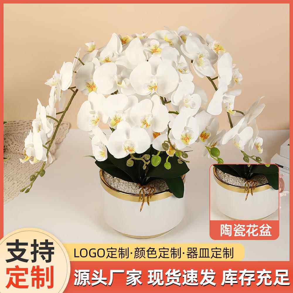 欧式轻奢蝴蝶兰陶瓷盆栽办公桌面装饰盆景室内卧室布置PU绿植摆件