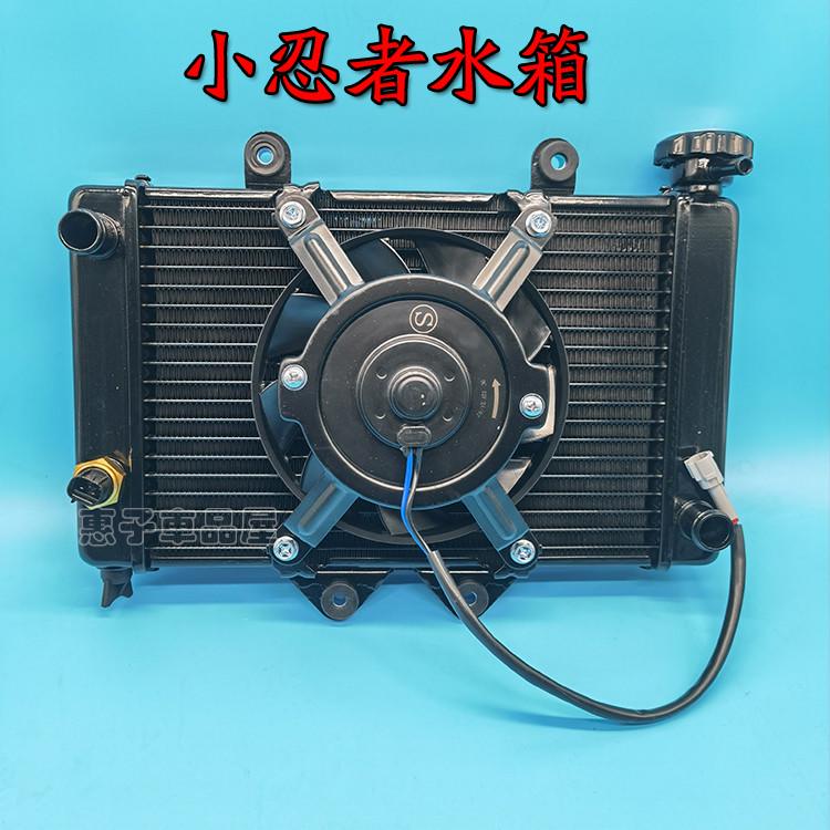 国产跑车公路赛小忍者摩托车水箱永源350战隼V6R3六代散热器总成