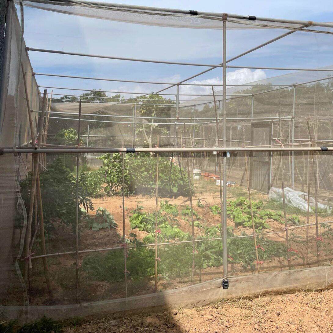防虫网大棚专用加厚加密农用果树蔬菜菜地纱网养殖防蚊纱网100目