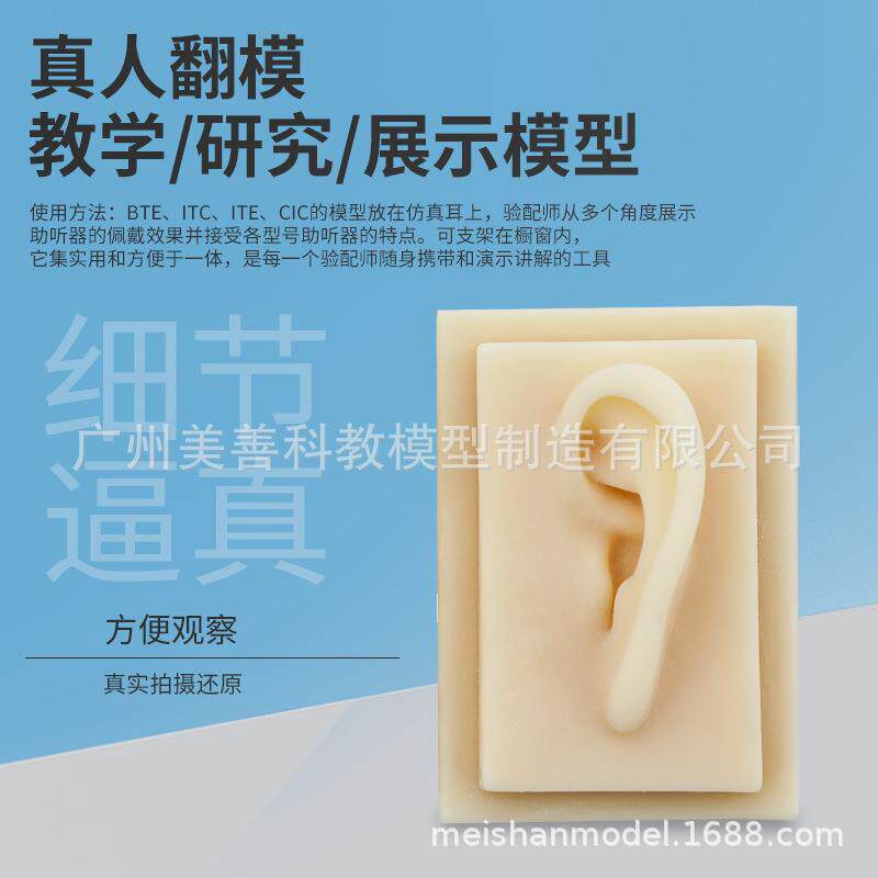 新款直销成人1：1 仿真耳朵 模型 人体耳朵 耳膜型 硅胶针灸耳朵