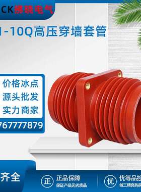 TG1-10Q/210.180.250.252户内母线穿墙套管125*125高压环网柜12KV