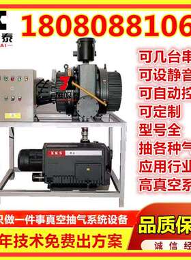 XD单级旋片直联电力罗茨真空抽气机组真空泵真空抽气装置真空机组