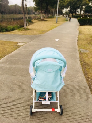 口碑评论英氏181A0717婴儿推车怎么样，老司机深度剖析真心话