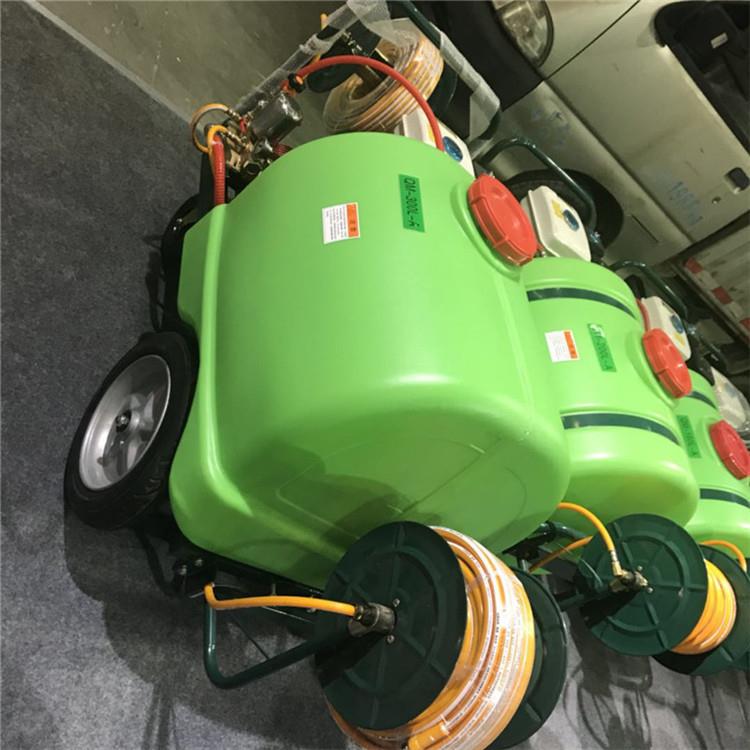 动手推式高力喷雾器小型推车式动力喷雾机压动力喷雾器