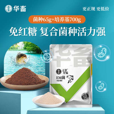 养殖华浓缩水产畜生物芽孢粉益生菌em原液鱼苗用菌em杆菌乳酸菌