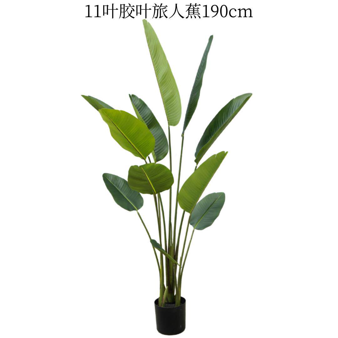 仿真龟背芭蕉树旅人蕉盆景阔叶植物美人蕉香蕉树绿真