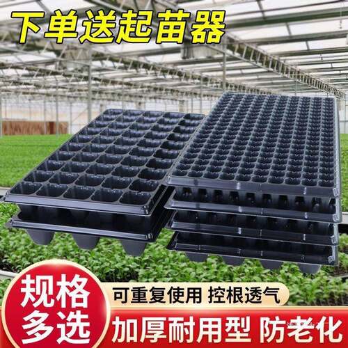 育苗盘穴盘整件加厚育苗盆营养钵托盘辣椒西红柿蔬菜培育农用