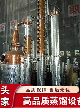 工厂直销多塔盘高柱子蒸馏器多功能威士忌金酒伏特加蒸馏设备