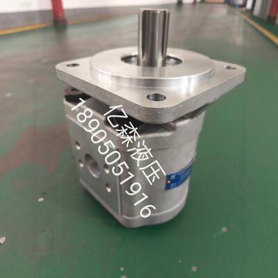 合肥赛源SY齿轮泵CBG-2063-BFHL长源型液压泵高压大排量齿轮油泵