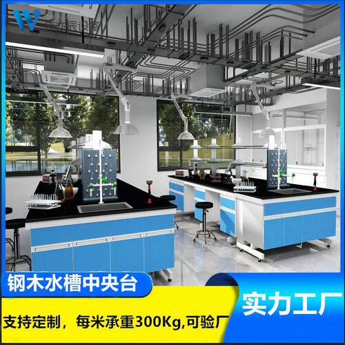 边台钢木台水槽化学实验桌通风柜中央全钢仪器台PP试验台台