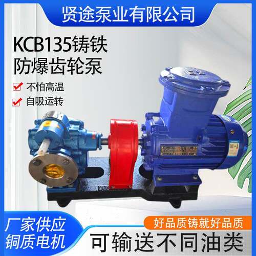 KCB135铸铁防爆齿轮泵柴油汽油煤油KCB300输送泵小流量齿轮泵