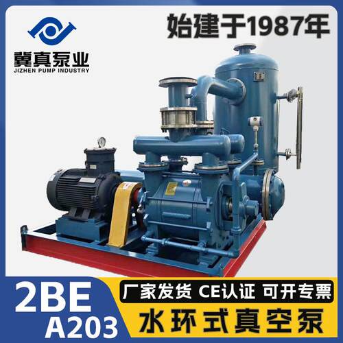 水环真空引水系统2BEA203真空泵37kW叶轮304缓冲罐气液分离罐自吸