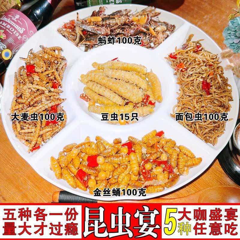 油炸蚂蚱豆虫蚕蛹蝗虫大麦虫面包虫5种套餐即食昆虫零食虫子美食