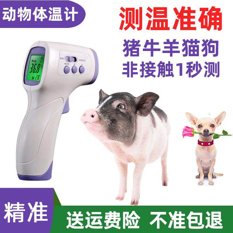 动物精准】猪用体温计 宠物兽用电子体温计猫狗牛羊红外线 线1秒