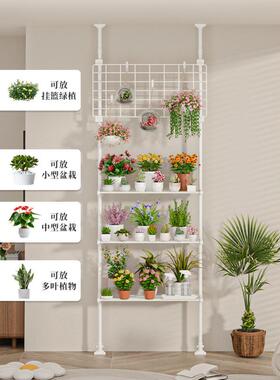 多肉架花置物阳架台层架mz6FsGBj顶天立地客厅支撑放杆展示架室内