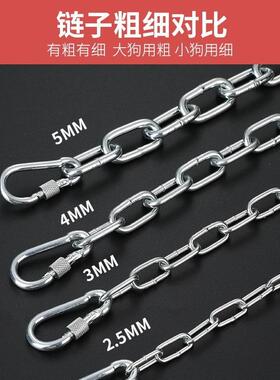 Extended Anti-Bite and Rust-Proof Dog Chain Leash with Colla
