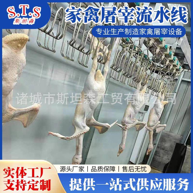鹅肥肝屠宰脱毛设备鹅自动宰杀线厂家鹅肥肝生产流水线设备