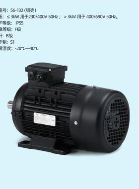 丹麦HOYER MOTOR霍尔电机IE1 IE2 IE3 IE4现货三相异步铝壳电动机