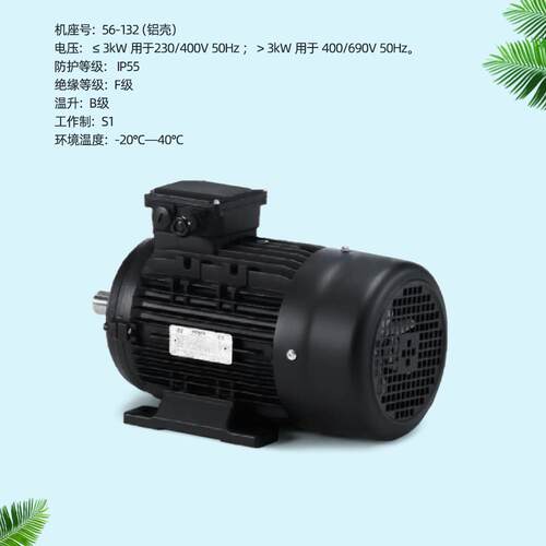 丹麦HOYER MOTOR霍尔电机IE1 IE2 IE3 IE4现货三相异步铝壳电动机