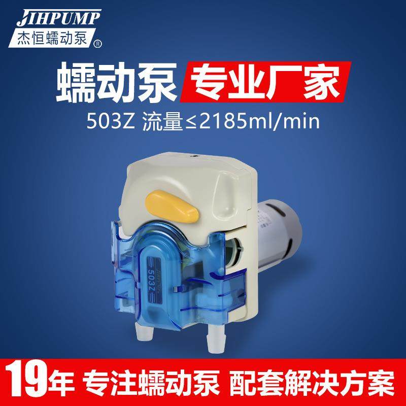 503Z微型蠕动泵微型小型计量泵厂家供应蠕动泵