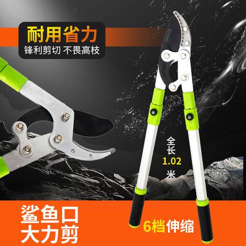 修剪树枝园林果树剪刀修枝剪高粗枝剪大力剪省力伸缩园艺工具剪子