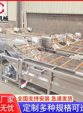供应全机自动果蔬式清洗机 淋喷净清洗流水线 AVD香梨清洗设菜备