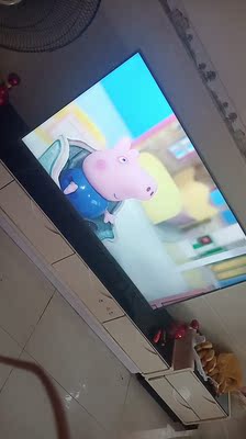 说下知道TCL55V6M与海信55E52D哪款值得入手？比较一下差别大不大