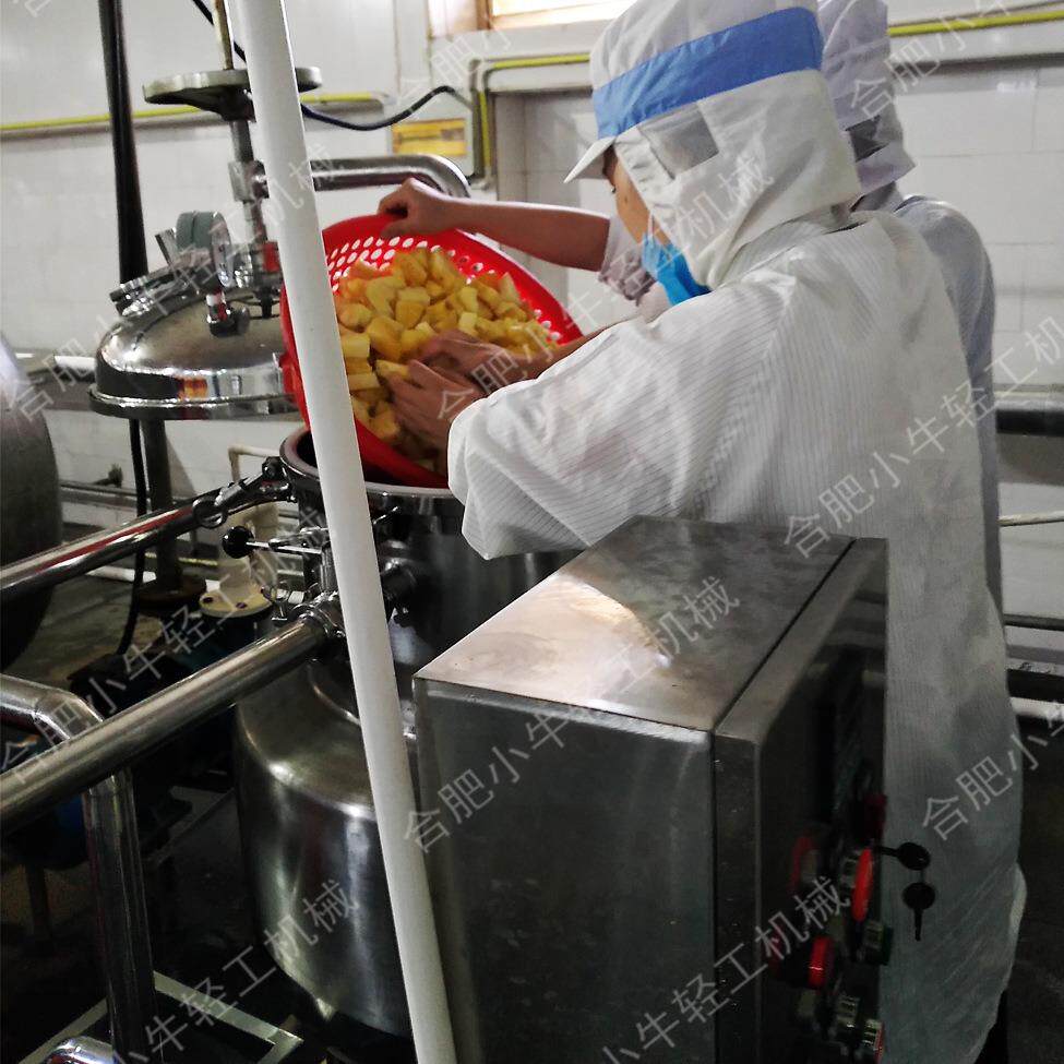 菠萝干旺梨水果干蜜饯果脯糖渍机器真空压力浸糖机真空渗糖机组