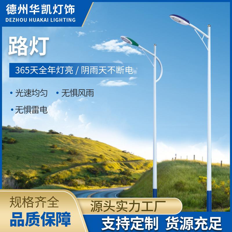 厂家直售户外街道照明led6-10米农村市政道路市电单臂双臂路灯