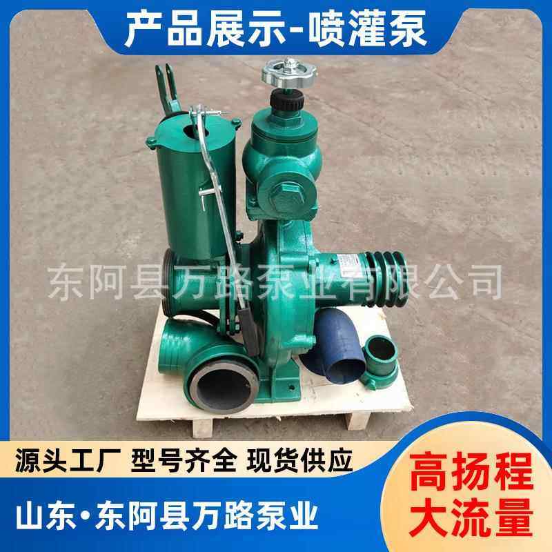 心喷灌泵3寸压力井泵植果高园灌离溉水泵小CGN型扬种程抽水泵