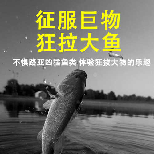 150米沉水12+1编包芯大力马主线路亚专用超顺滑远投耐磨沉水pe线
