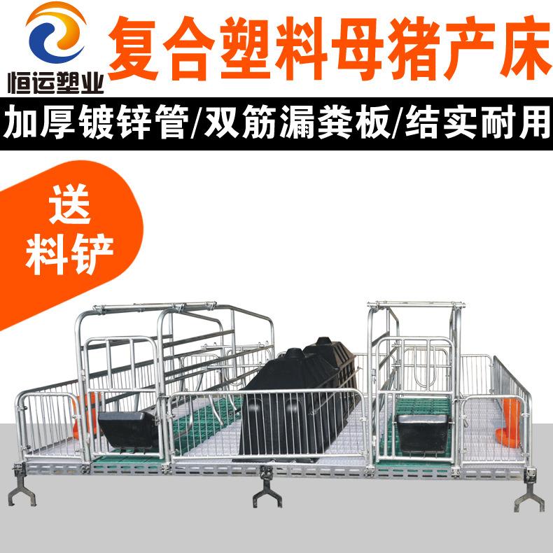 母猪产床漏粪板产床猪用产床养猪场的产床母猪欧式产床母猪的产床