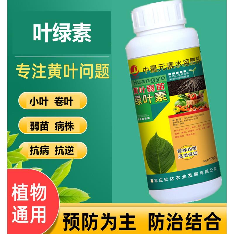黄叶死苗一喷绿叶面肥月季黄叶病槟榔果蔬君子兰水溶肥料叶绿素