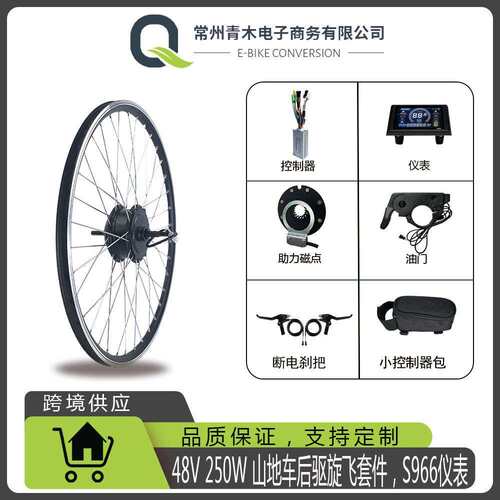 锂电改装48V250W20寸山地车公路车后驱旋飞套件，S966彩屏仪表