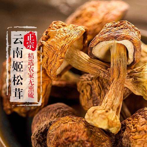 云南姬松茸干货500g无薰硫小菇巴西菇特产彷野生松茸新货速发