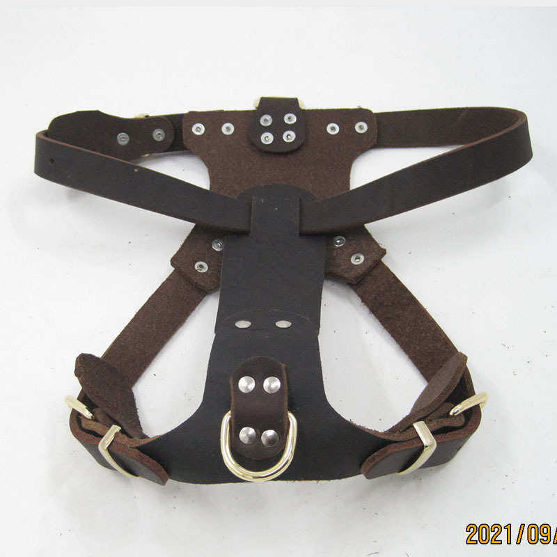 牛皮宠物颈围狗狗脖圈脖套中小型犬用德牧皮质胸背宠物用品